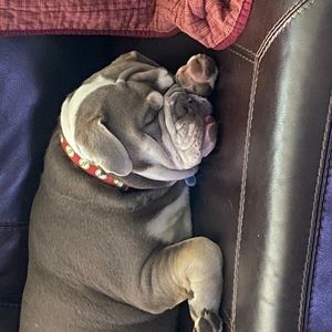 Meet your Posher, Katina